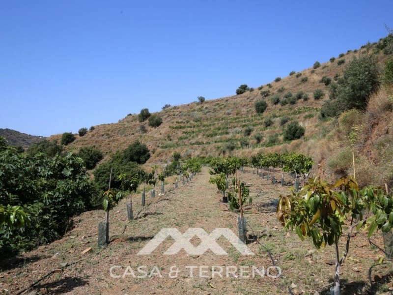 Finka/Dom wiejski na sprzedaż w Totalan - 335 000 € (Ref: 5370747)