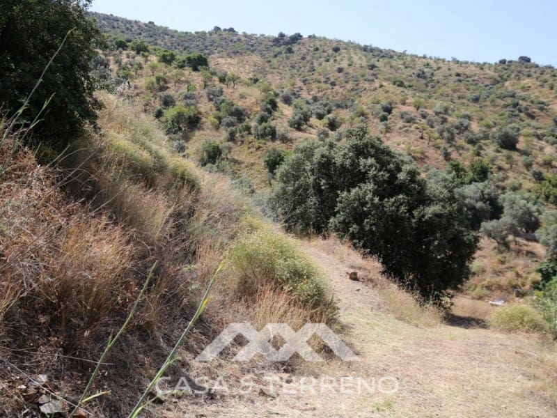 Finka/Dom wiejski na sprzedaż w Totalan - 335 000 € (Ref: 5370747)