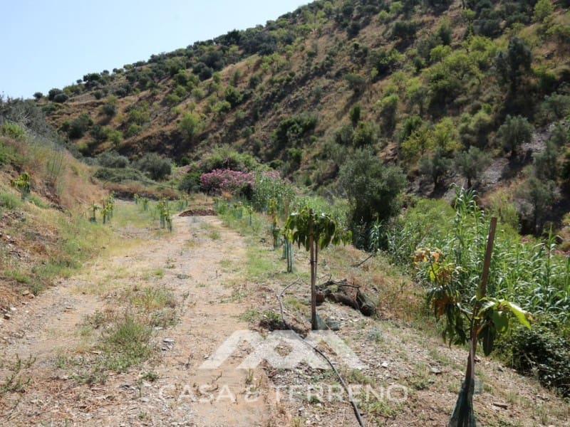 Finka/Dom wiejski na sprzedaż w Totalan - 335 000 € (Ref: 5370747)