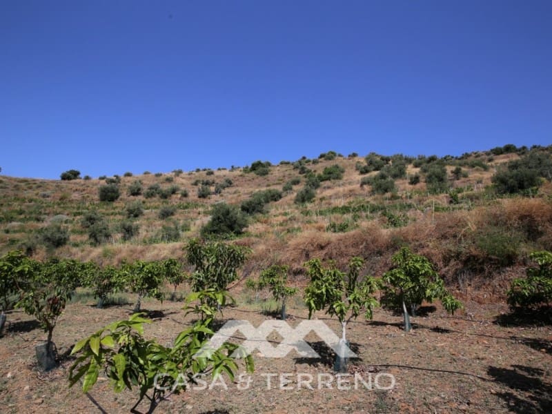 Finka/Dom wiejski na sprzedaż w Totalan - 335 000 € (Ref: 5370747)