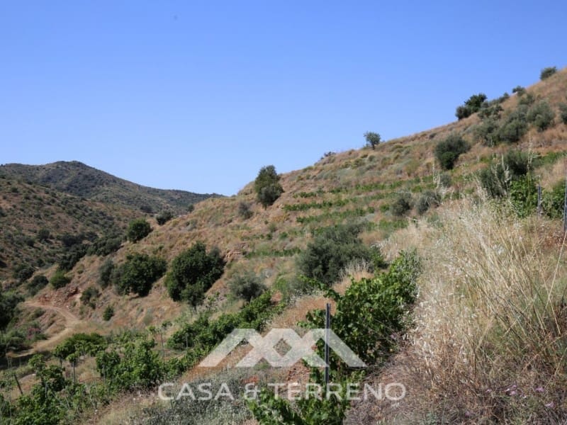 Finka/Dom wiejski na sprzedaż w Totalan - 335 000 € (Ref: 5370747)