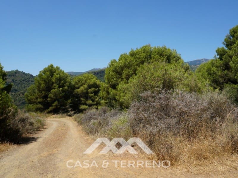 3 soveværelse Finca/Landehus til salg i Yunquera - € 280.000 (Ref: 5467039)