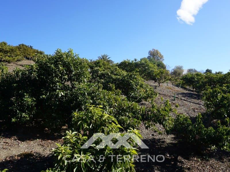 3 soverom Finca/Herregård til salgs i Vinuela med garasje - € 498 000 (Ref: 6510279)