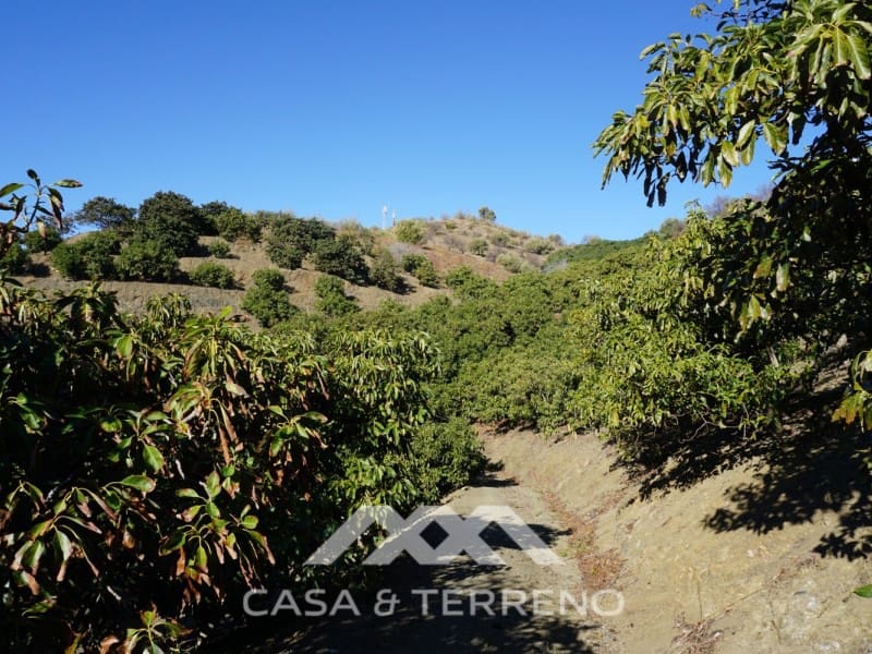 3 soverom Finca/Herregård til salgs i Vinuela med garasje - € 498 000 (Ref: 6510279)