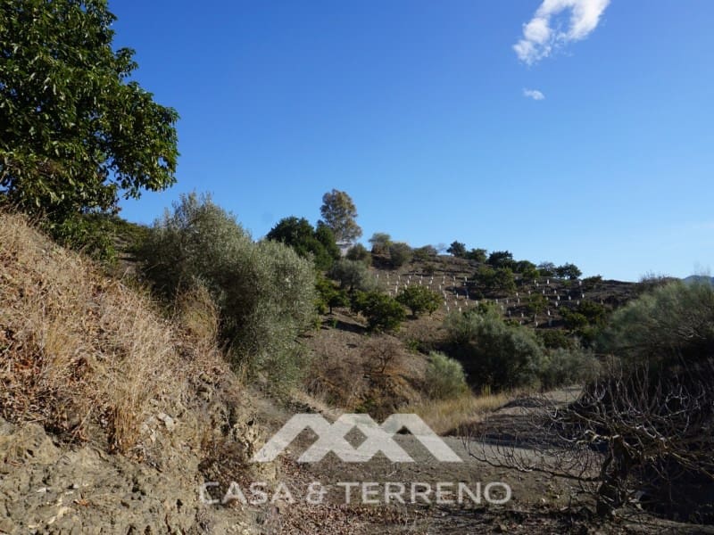 3 soverom Finca/Herregård til salgs i Vinuela med garasje - € 498 000 (Ref: 6510279)