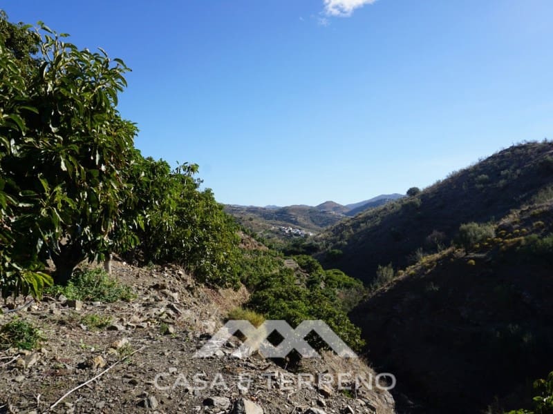 3 soverom Finca/Herregård til salgs i Vinuela med garasje - € 498 000 (Ref: 6510279)