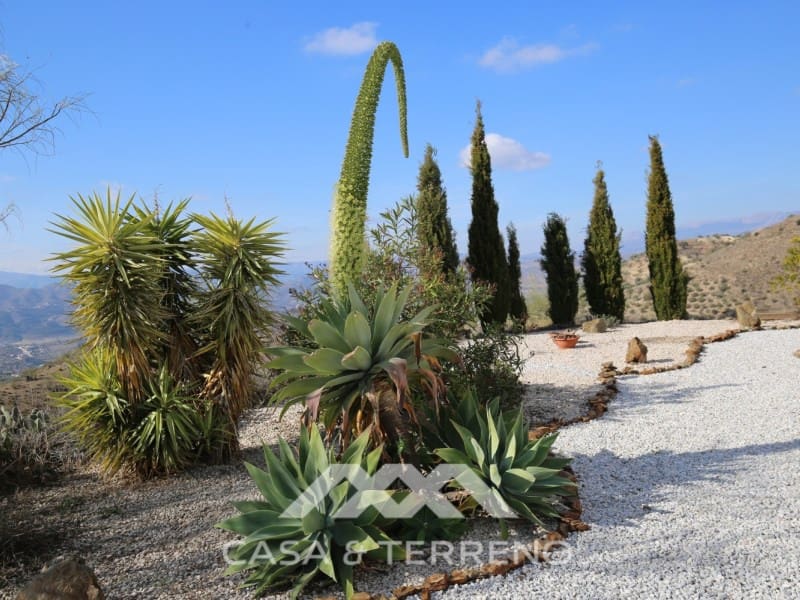 4 sypialnia Willa na sprzedaż w Alcaucin - 449 000 € (Ref: 6597825)