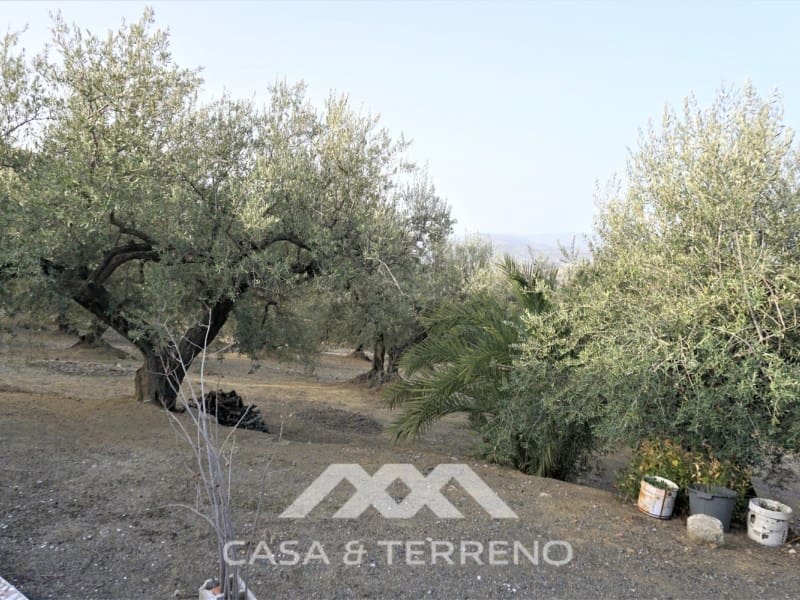 3 soveværelse Finca/Landehus til salg i Alcaucin - € 375.000 (Ref: 6622635)