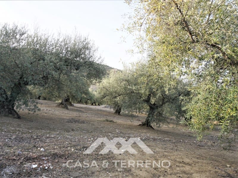 3 soveværelse Finca/Landehus til salg i Alcaucin - € 375.000 (Ref: 6622635)