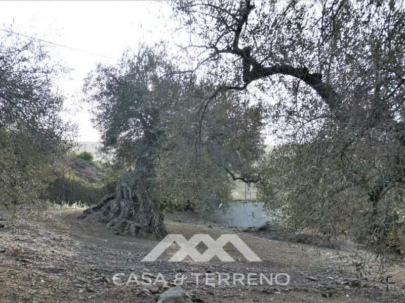 3 soveværelse Finca/Landehus til salg i Alcaucin - € 375.000 (Ref: 6622635)