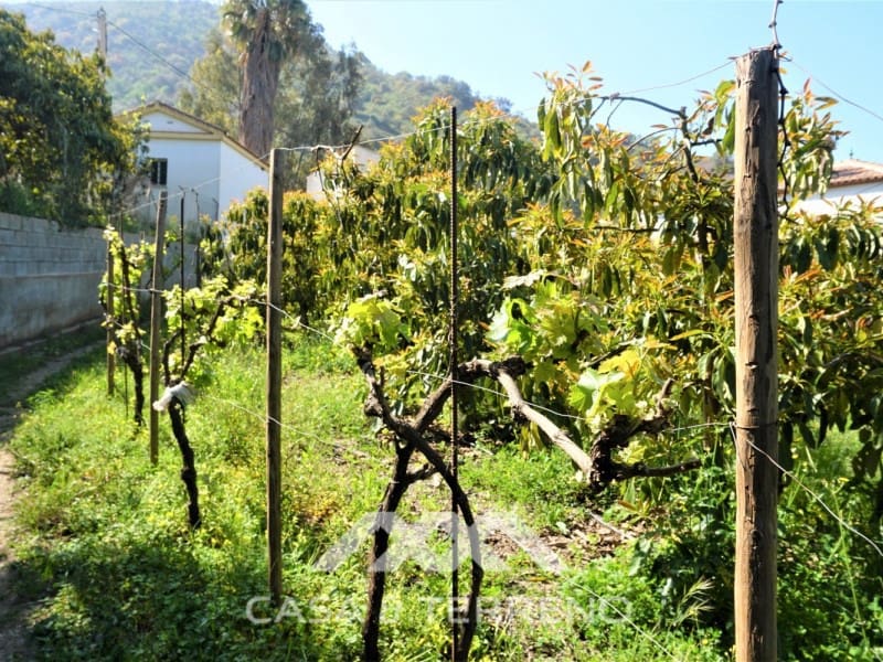 Tomt till salu i Canillas de Aceituno - 55 000 € (Ref: 6789953)