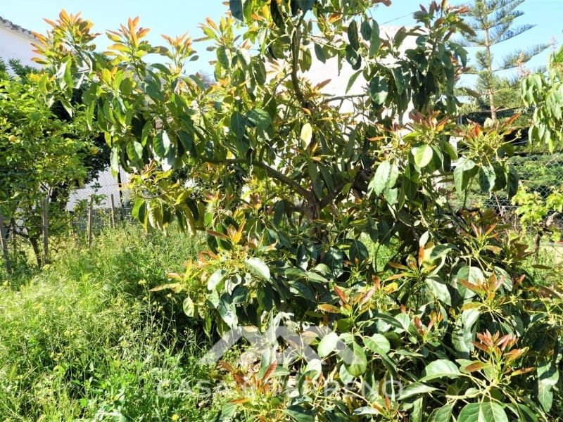 Tomt till salu i Canillas de Aceituno - 55 000 € (Ref: 6789953)