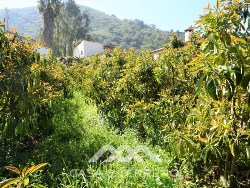 Tomt till salu i Canillas de Aceituno - 55 000 € (Ref: 6789953)