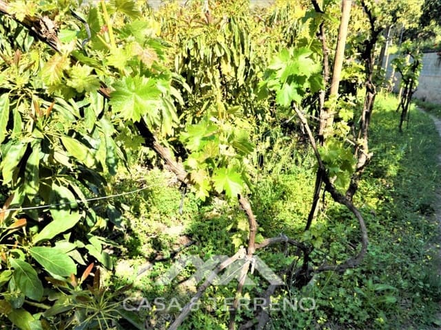 Tomt till salu i Canillas de Aceituno - 55 000 € (Ref: 6789953)