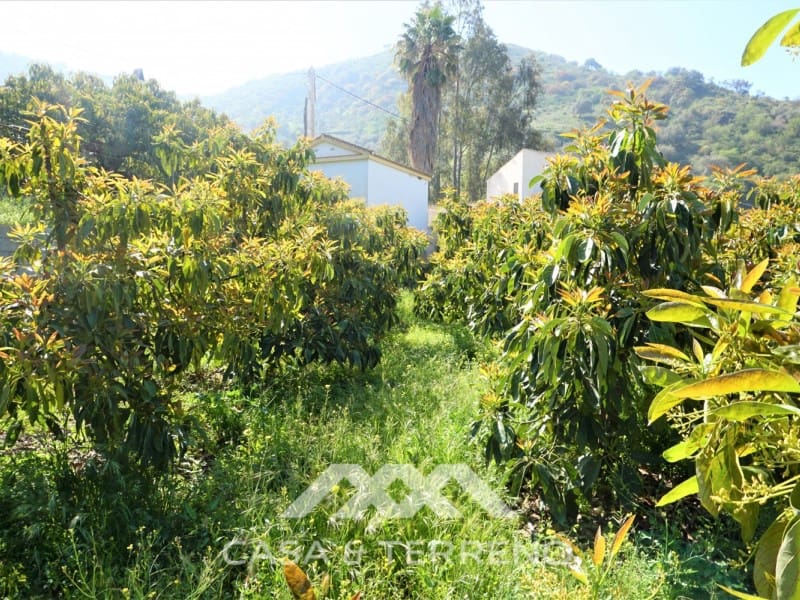 Tomt till salu i Canillas de Aceituno - 55 000 € (Ref: 6789953)