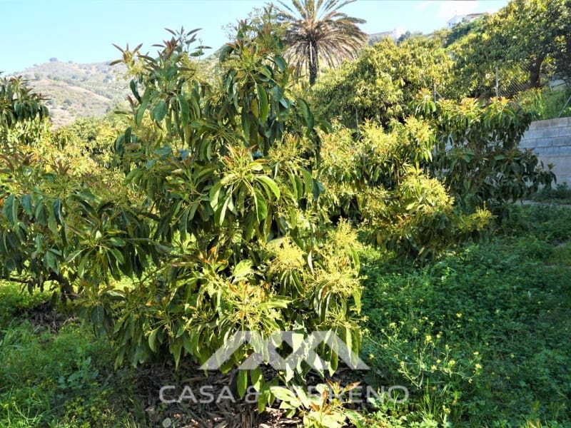 Tomt till salu i Canillas de Aceituno - 55 000 € (Ref: 6789953)