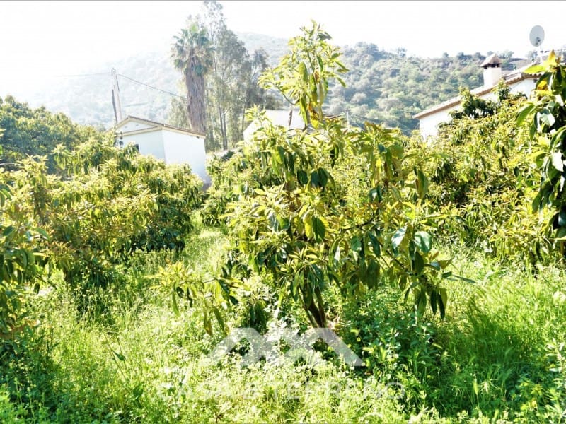 Tomt till salu i Canillas de Aceituno - 55 000 € (Ref: 6789953)