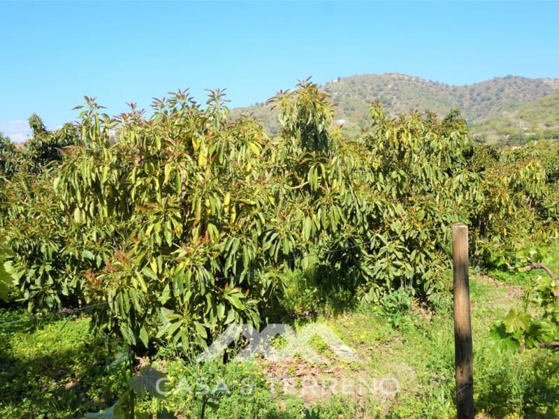 Tomt till salu i Canillas de Aceituno - 55 000 € (Ref: 6789953)