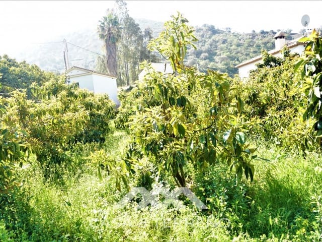 Tomt till salu i Canillas de Aceituno - 55 000 € (Ref: 6789953)