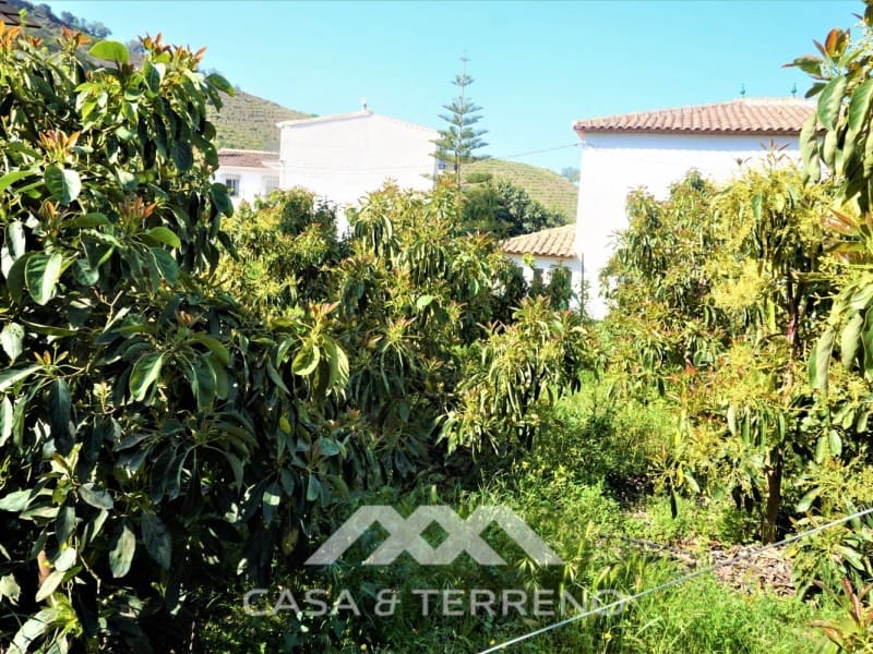 Tomt till salu i Canillas de Aceituno - 55 000 € (Ref: 6789953)