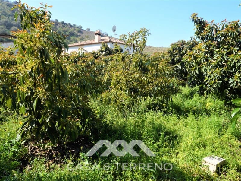 Tomt till salu i Canillas de Aceituno - 55 000 € (Ref: 6789953)