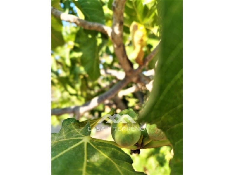 2 soverom Finca/Herregård til salgs i Canillas de Aceituno - € 159 999 (Ref: 6973522)