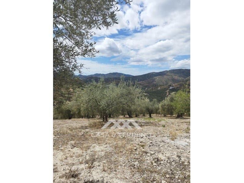 Byggegrund til salg i Riogordo - € 45.000 (Ref: 7258495)