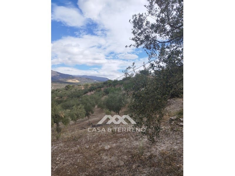 Byggegrund til salg i Riogordo - € 45.000 (Ref: 7258495)