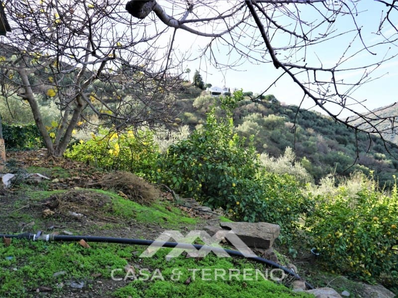 5 soveværelse Villa til salg i Sayalonga med swimmingpool garage - € 585.000 (Ref: 7310776)