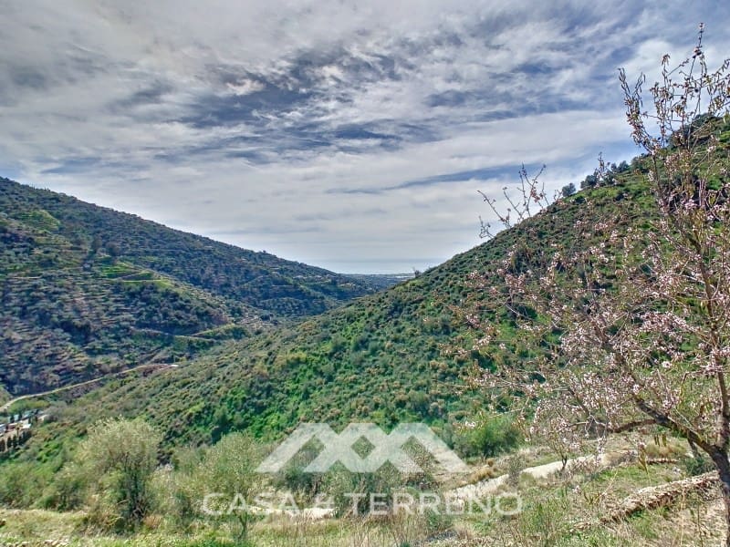 3 soveværelse Villa til salg i Arenas med swimmingpool - € 439.000 (Ref: 7438742)