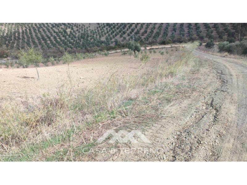 Ubebygd land til salgs i Casabermeja - € 225 000 (Ref: 7885793)