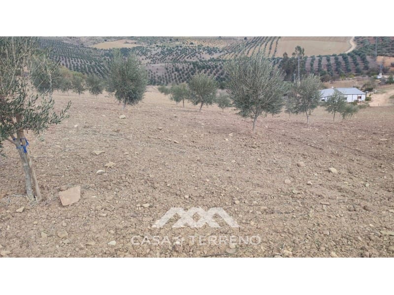 Ubebygd land til salgs i Casabermeja - € 225 000 (Ref: 7885793)