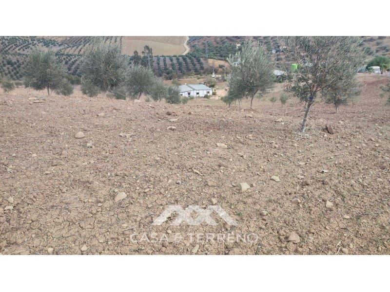 Ubebygd land til salgs i Casabermeja - € 225 000 (Ref: 7885793)