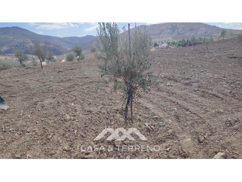 Ubebygd land til salgs i Casabermeja - € 225 000 (Ref: 7885793)