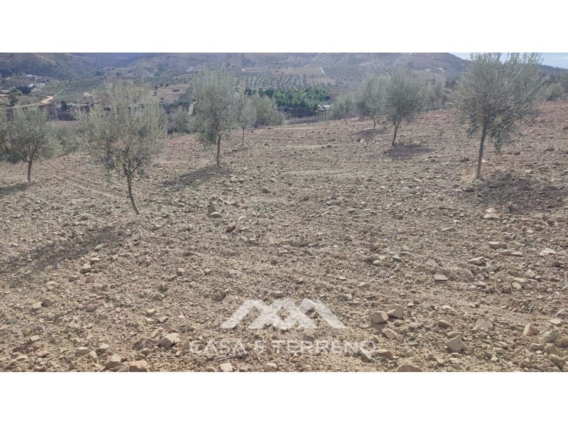 Ubebygd land til salgs i Casabermeja - € 225 000 (Ref: 7885793)