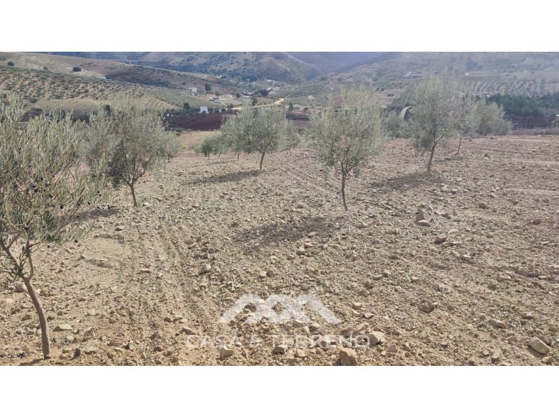 Ubebygd land til salgs i Casabermeja - € 225 000 (Ref: 7885793)