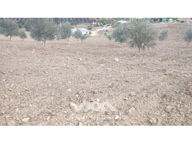 Ubebygd land til salgs i Casabermeja - € 225 000 (Ref: 7885793)