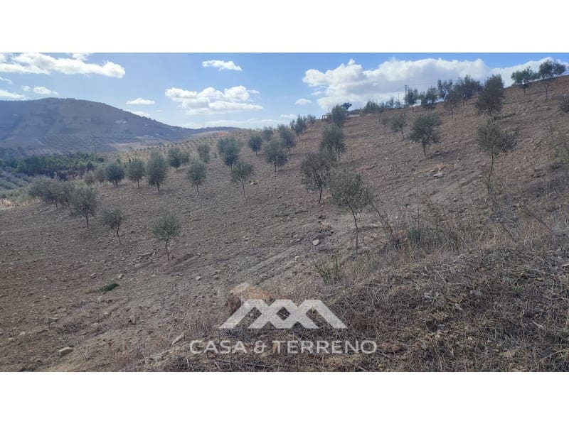 Ubebygd land til salgs i Casabermeja - € 225 000 (Ref: 7885793)