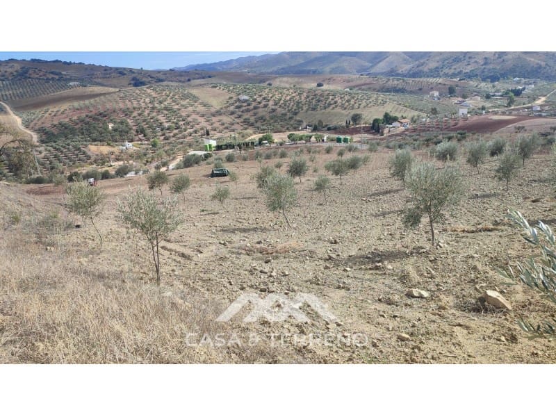 Ubebygd land til salgs i Casabermeja - € 225 000 (Ref: 7885793)