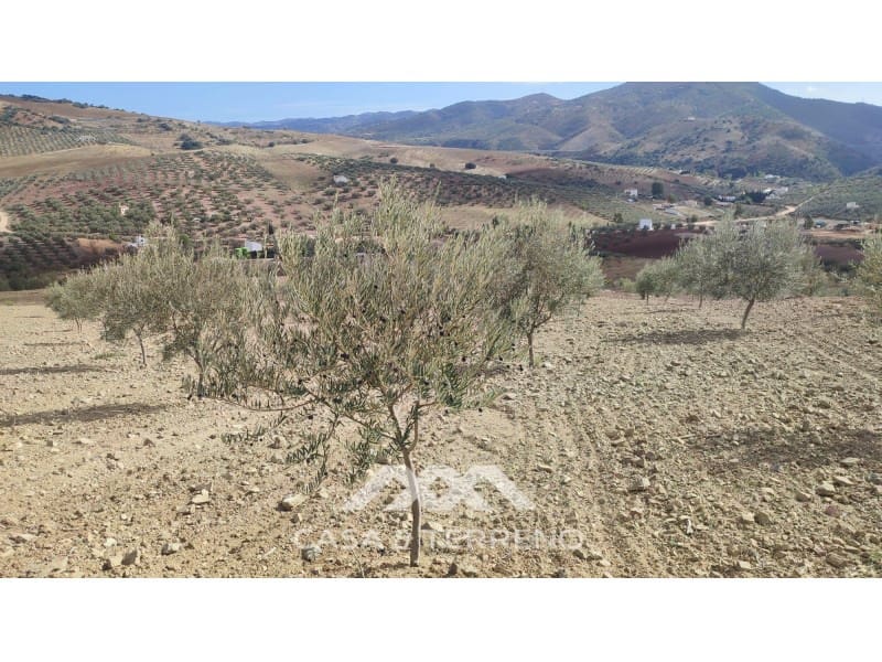 Ubebygd land til salgs i Casabermeja - € 225 000 (Ref: 7885793)