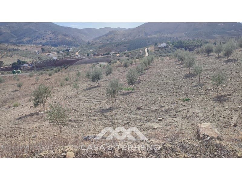 Ubebygd land til salgs i Casabermeja - € 225 000 (Ref: 7885793)