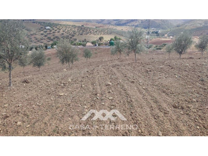 Ubebygd land til salgs i Casabermeja - € 225 000 (Ref: 7885793)