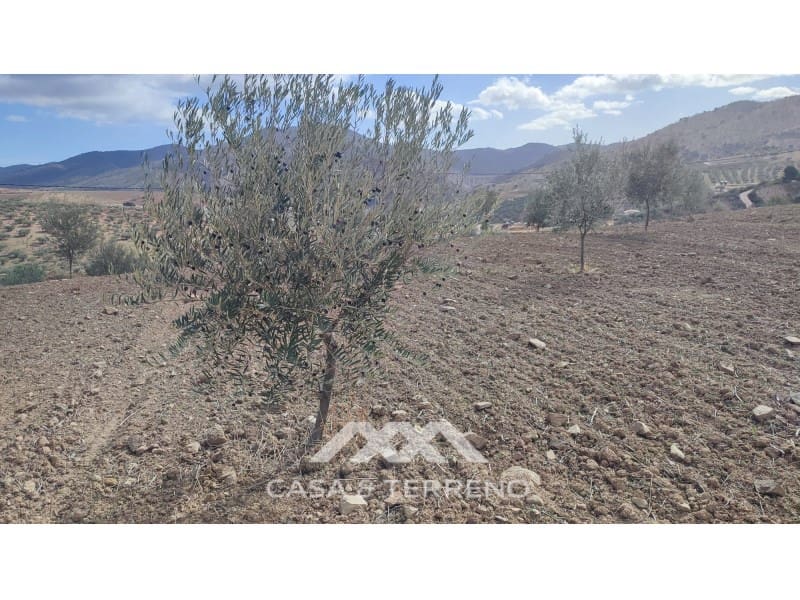 Ubebygd land til salgs i Casabermeja - € 225 000 (Ref: 7885793)