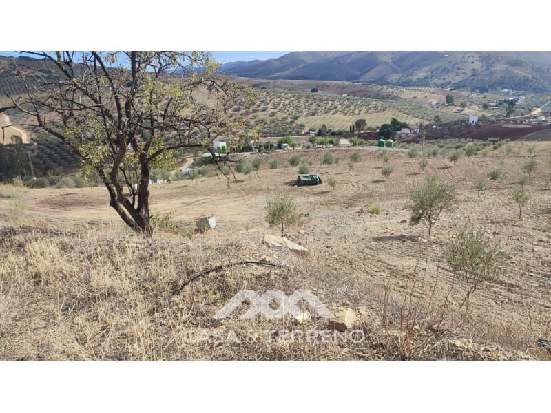 Ubebygd land til salgs i Casabermeja - € 225 000 (Ref: 7885793)