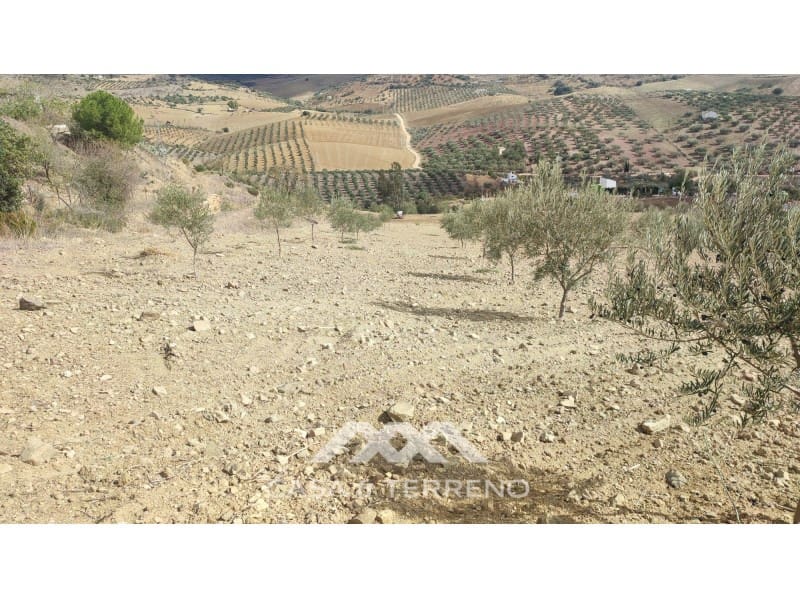 Ubebygd land til salgs i Casabermeja - € 225 000 (Ref: 7885793)