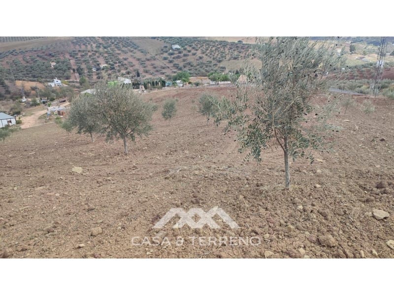 Ubebygd land til salgs i Casabermeja - € 225 000 (Ref: 7885793)