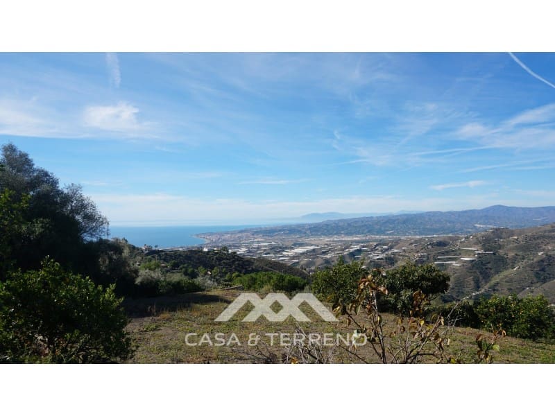 5 soveværelse Finca/Landehus til salg i Sayalonga - € 499.000 (Ref: 7929693)