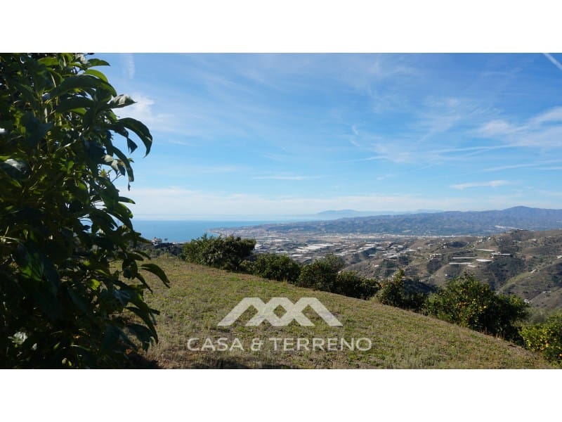 5 soveværelse Finca/Landehus til salg i Sayalonga - € 499.000 (Ref: 7929693)