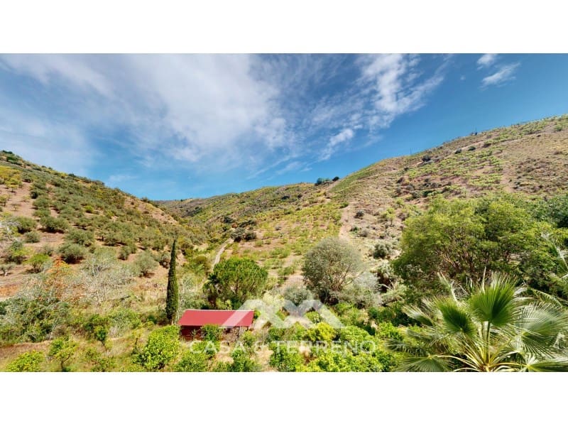 5 soveværelse Guesthouse/B & B til salg i Sedella med swimmingpool garage - € 398.000 (Ref: 8146352)