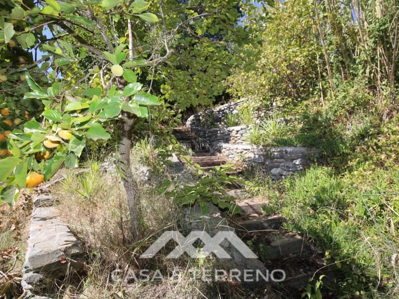 5 soveværelse Guesthouse/B & B til salg i Sedella med swimmingpool garage - € 398.000 (Ref: 8146352)